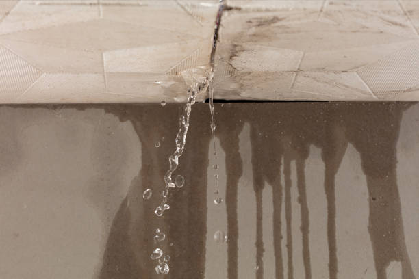 Professional Structural Drying technician working in College Corner, OH